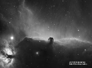 HorseheadH-Alpha115832.jpg