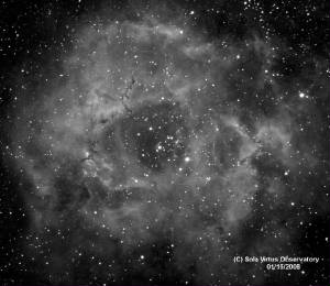 rosette11681543ha.jpg